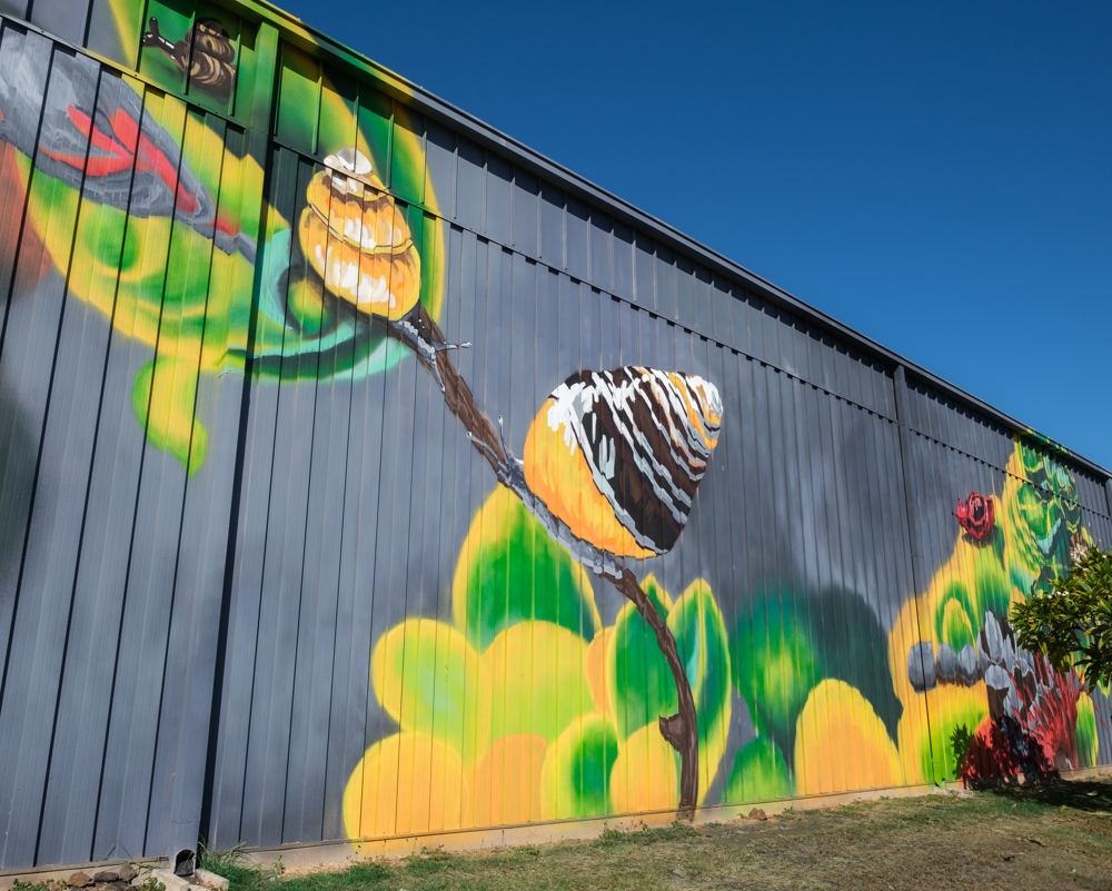Brightly painted tree snails on branches and leaves along a long dark wall.