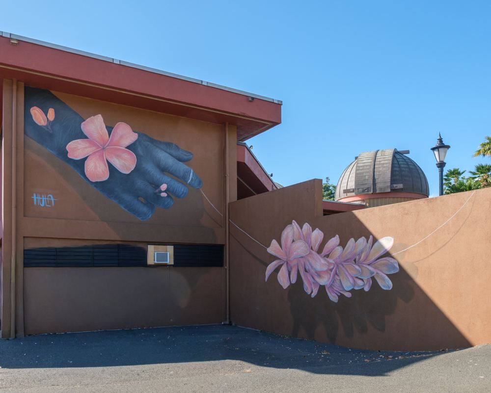 Large pink flowers and a hand painted across a museum wall under a blue sky.